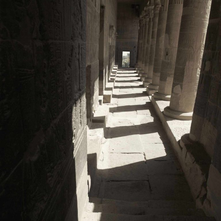 Intruder 3, 36 x 48 inch, Print of photographical work on Hahnemuhle museum etching paper, 2019